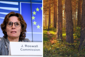 EUDR-Roswall-1024x683