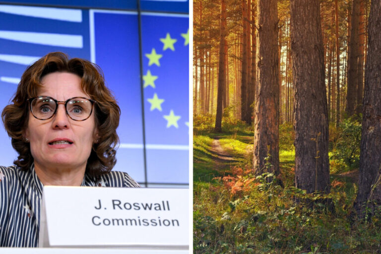 EUDR-Roswall-1024x683