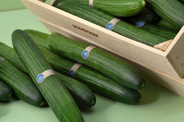 Gurka-Saveggy-Odlarna_D